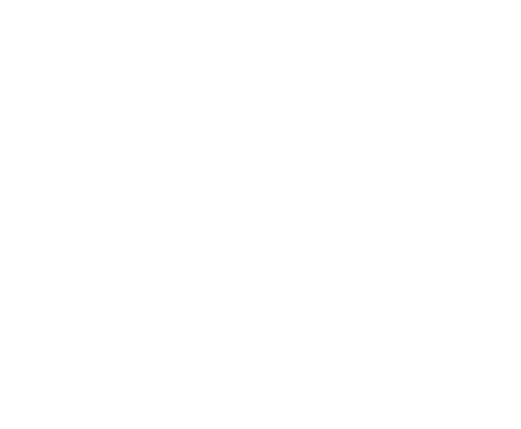 2021 Twitter logo white